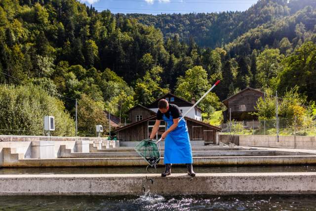 Restaurant 2 étoiles Michelin Noirmont, Suisse · Maison Wenger 