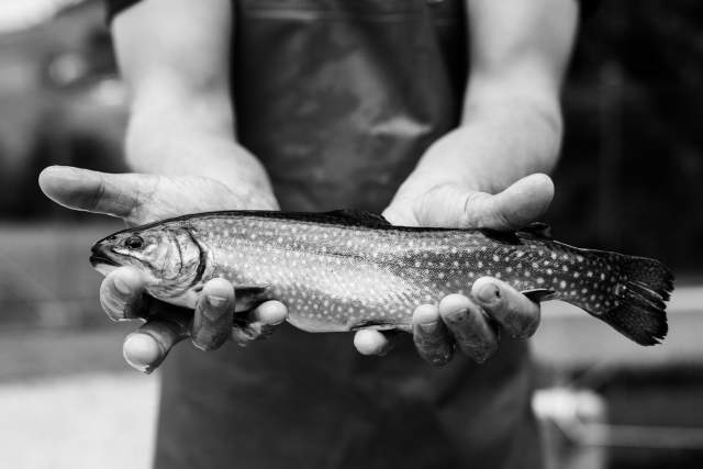 Restaurant 2 étoiles Michelin Noirmont, Suisse · Maison Wenger 