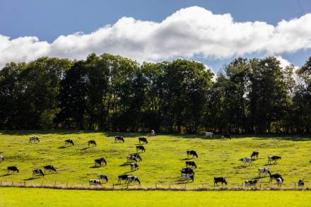 Tourisme Jura Suisse · Maison Wenger