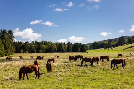 Tourisme Jura Suisse · Maison Wenger